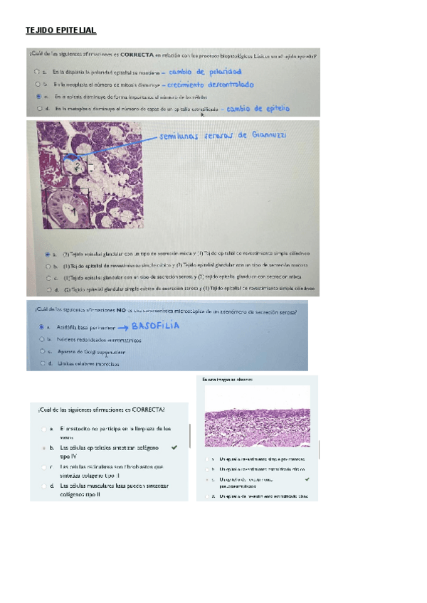 Miniatura del documento recopilacion-preguntas-histo.pdf