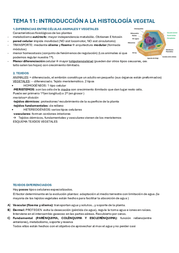 Miniatura del documento T11-COMPLETO-introduccion-a-la-histologia-vegetal.pdf