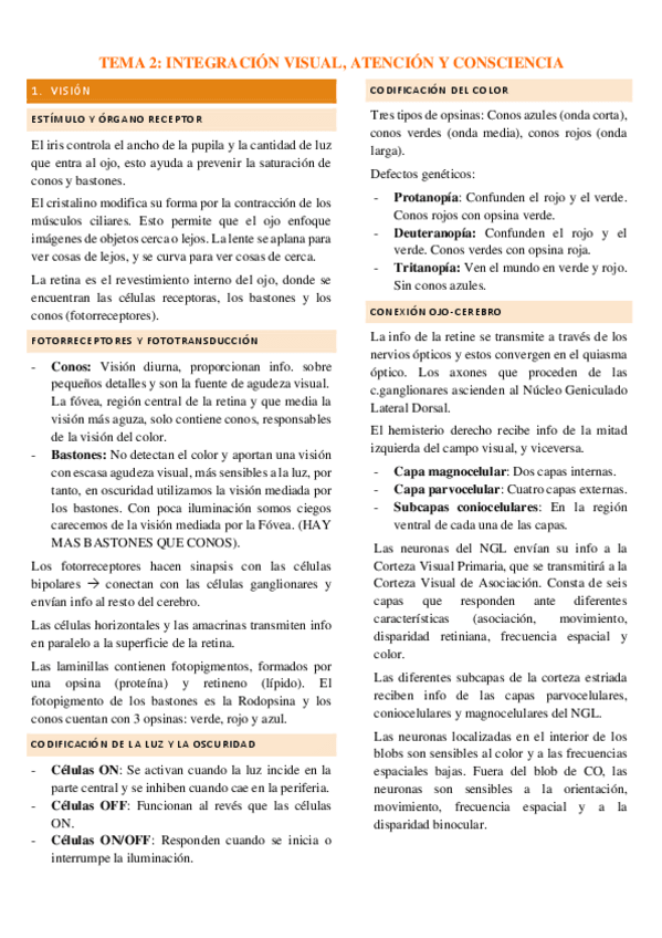 Miniatura del documento SUPER-RESUMEN.-TEMA-2.pdf