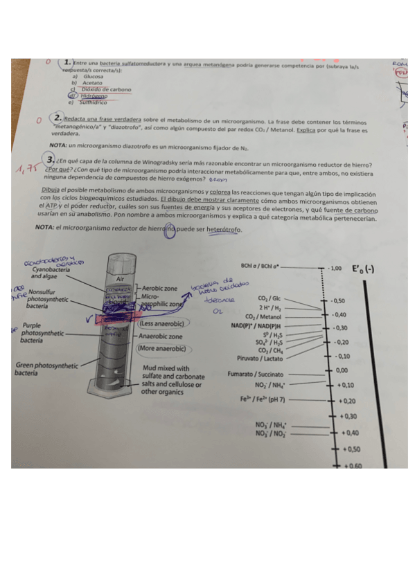 Miniatura del documento parcial-micro-2023-24.pdf