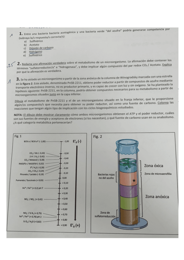 Miniatura del documento parcial-micro.pdf