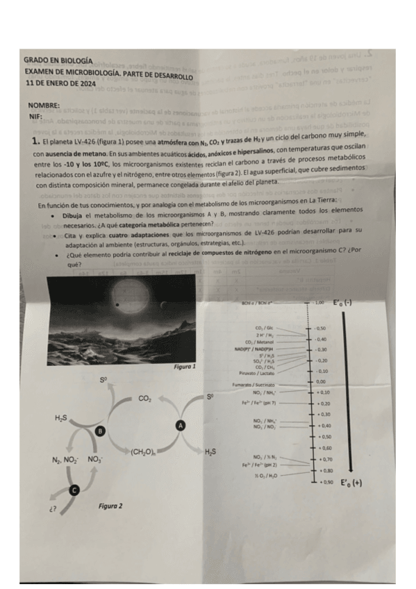 Miniatura del documento final-micro-2024.pdf