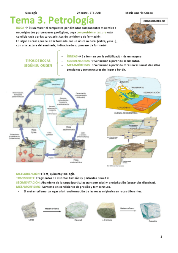 Miniatura del documento Tema-3.-Petrologia.pdf