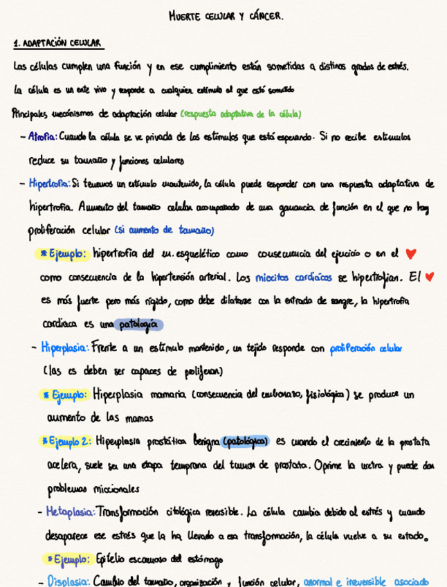 Miniatura del documento Muerte-celular-w.pdf