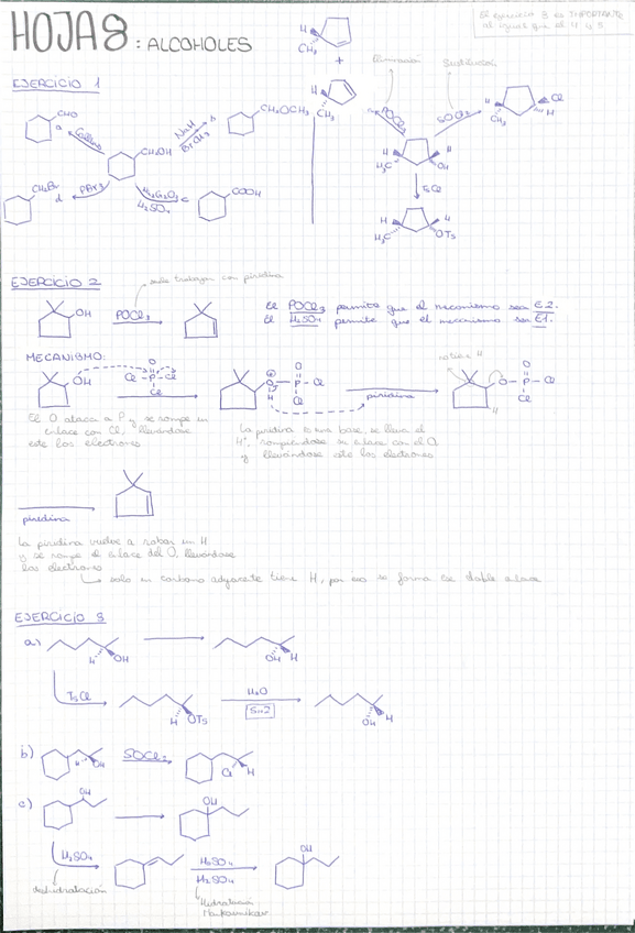Miniatura del documento Hoja-alcoholes.pdf