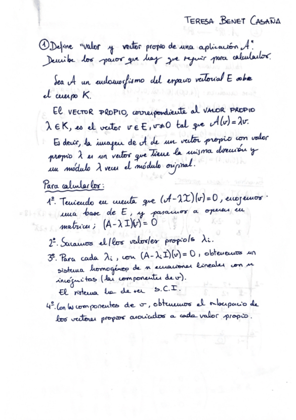 Miniatura del documento Entregable.pdf