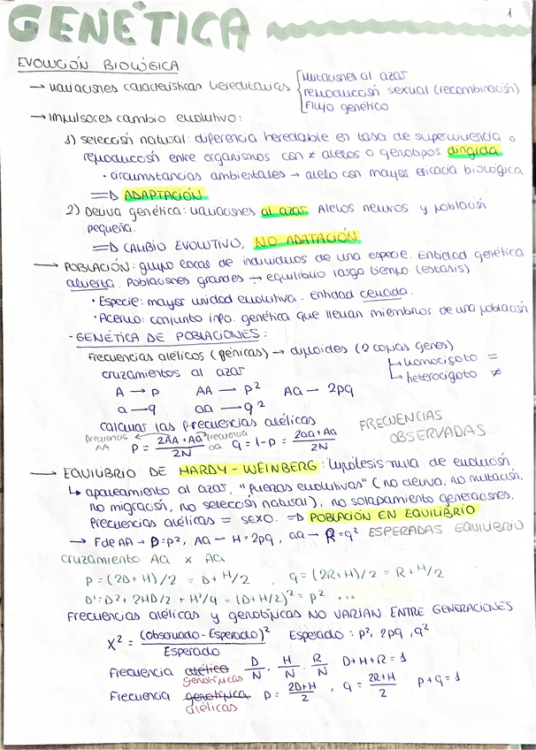 Miniatura del documento APUNTES-PARTE-GENETICA-EN-BIOLOGIA-EVOLUTIVA.pdf