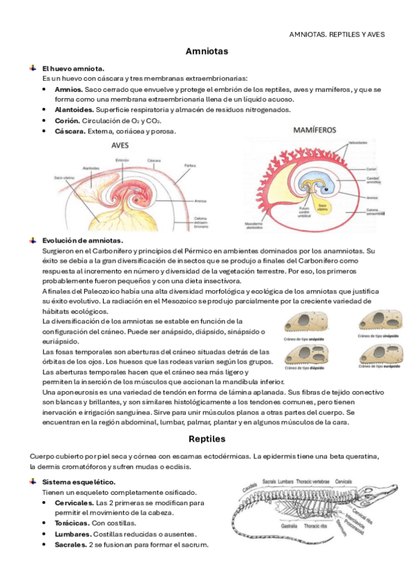 Miniatura del documento Tema-14.pdf