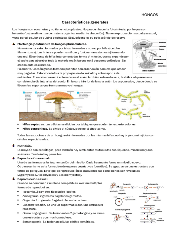Miniatura del documento Tema-25.pdf