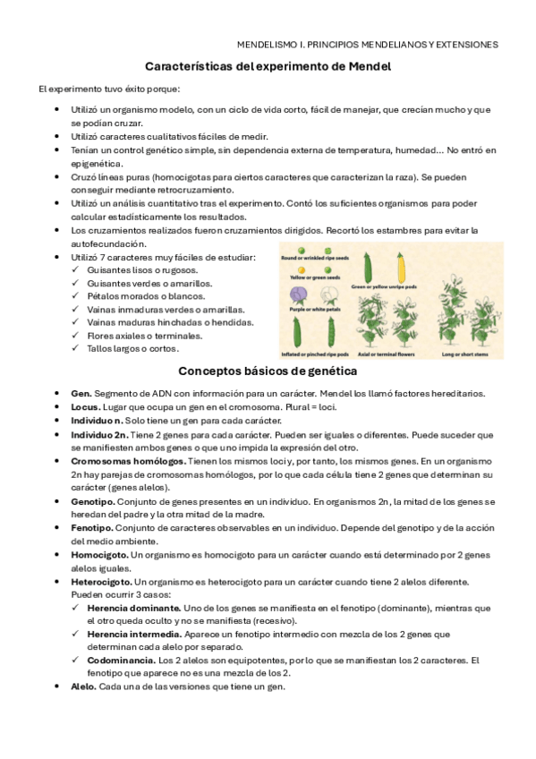 Miniatura del documento Tema-4.pdf