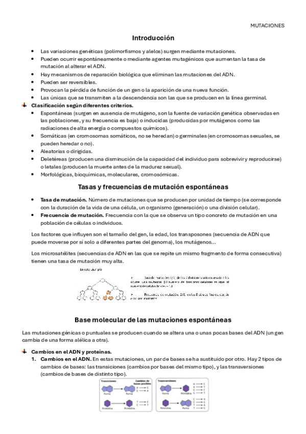 Miniatura del documento Tema-6.pdf