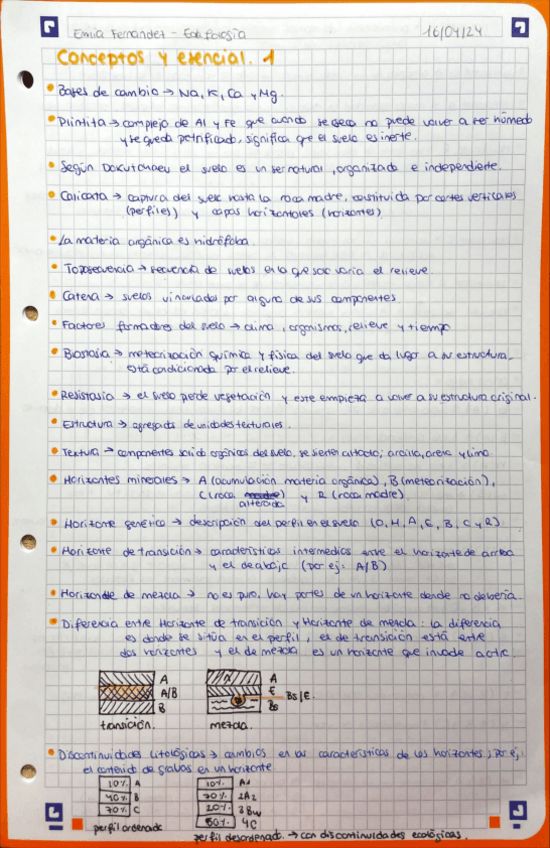 Miniatura del documento conceptosyesencial-edafo.pdf