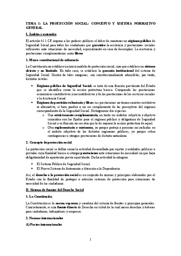 Miniatura del documento Derecho-de-la-proteccion-social.pdf