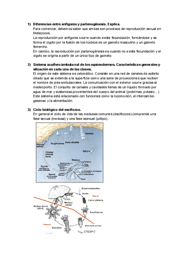Miniatura del documento Preguntas-desarrollo.docx.pdf