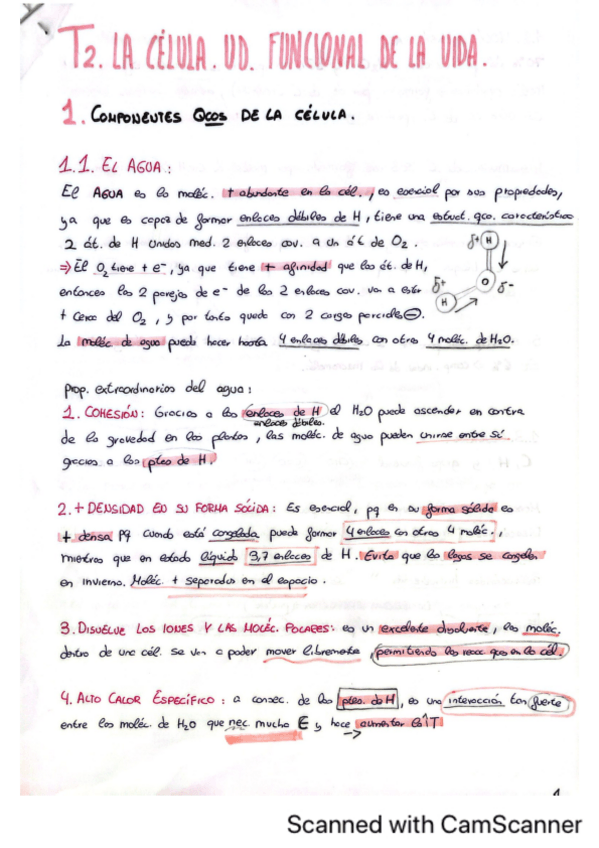 Miniatura del documento Tema-2.pdf