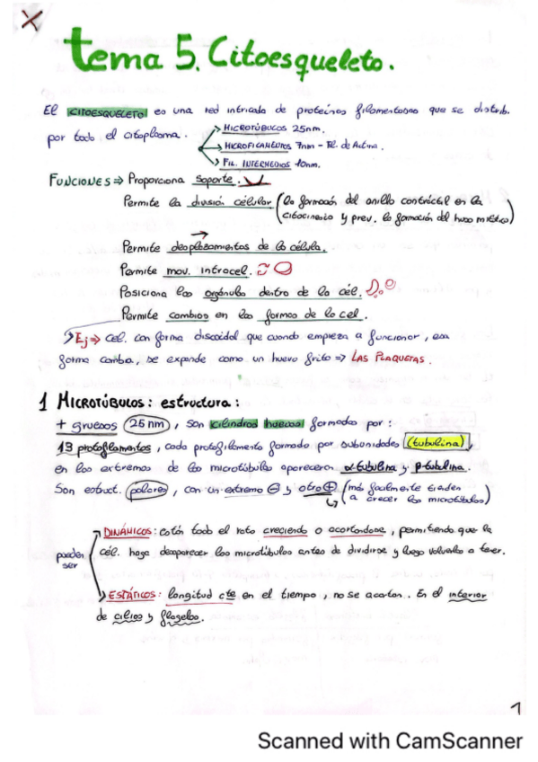 Miniatura del documento Tema-5.pdf