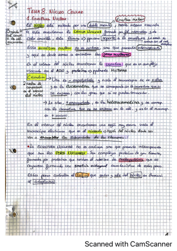 Miniatura del documento Tema-8.pdf