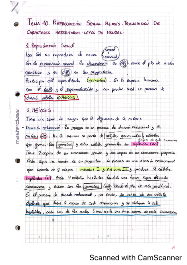 Miniatura del documento Tema-10.pdf