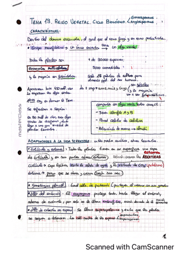 Miniatura del documento Tema-13.pdf