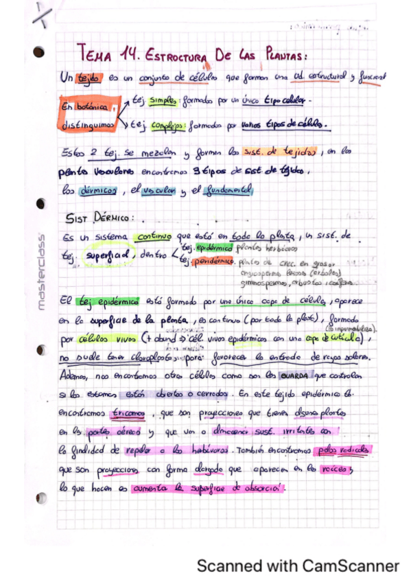 Miniatura del documento Tema-14.pdf