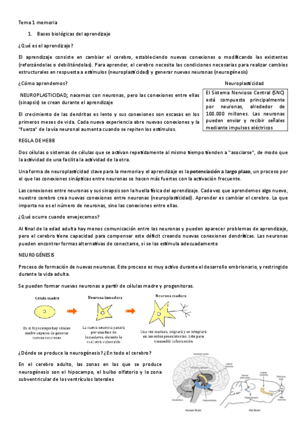 Miniatura del documento Tema-1-memoria.pdf
