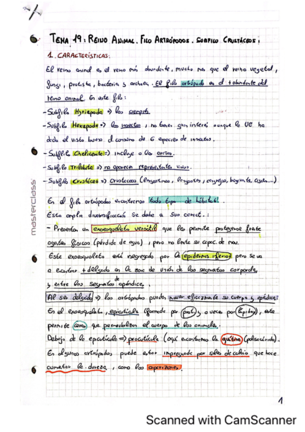 Miniatura del documento Tema-19.pdf