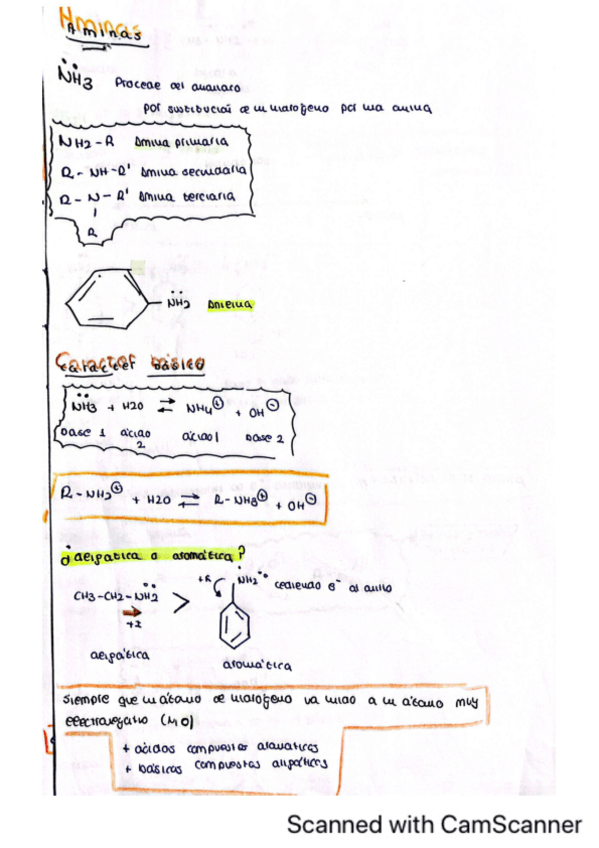 Miniatura del documento Aminas.pdf