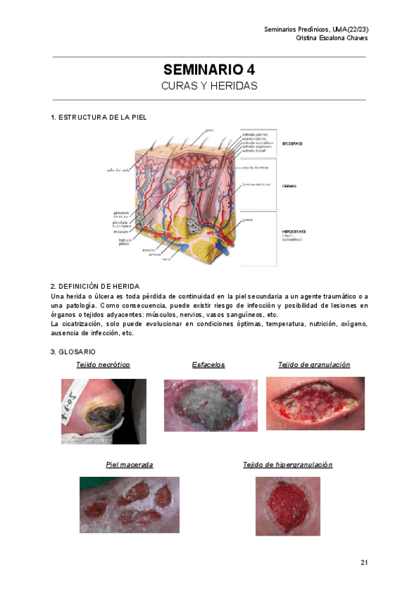 Miniatura del documento Seminario-Preclinico-4-Curas-y-heridas.pdf