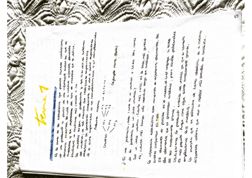 Miniatura del documento Documento-2.pdf