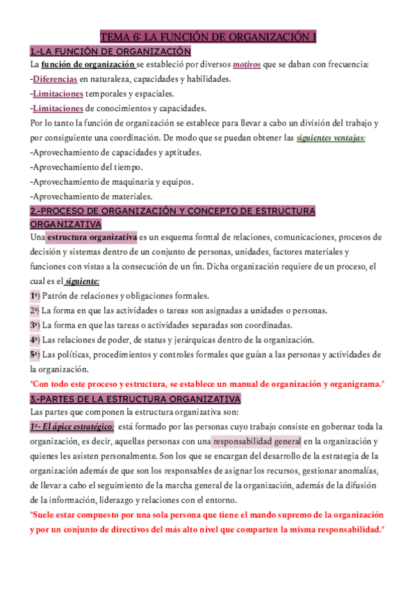 Miniatura del documento TEMA-6-LA-FUNCION-DE-ORGANIZACION-I.pdf