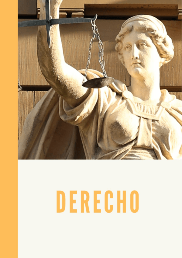 Miniatura del documento Teoria-y-practica-Derecho.pdf