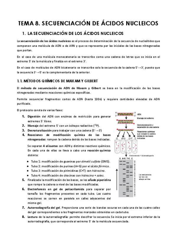 Miniatura del documento TEMA-8.-METODOS-DE-SECUENCIACION-DE-ACIDOS-NUCLEICOS.pdf