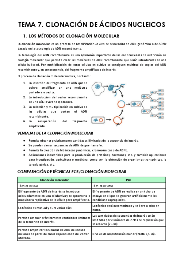 Miniatura del documento TEMA-7.-CLONACION-DE-ACIDOS-NUCLEICOS.pdf