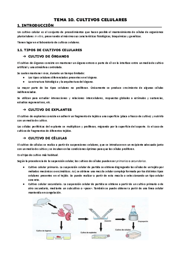 Miniatura del documento TEMA-10.-CULTIVOS-CELULARES.pdf