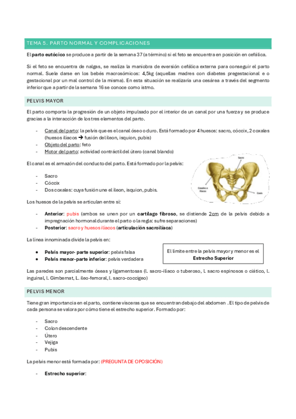 Miniatura del documento Tema-5.-Parto-normal-y-complicaciones.pdf
