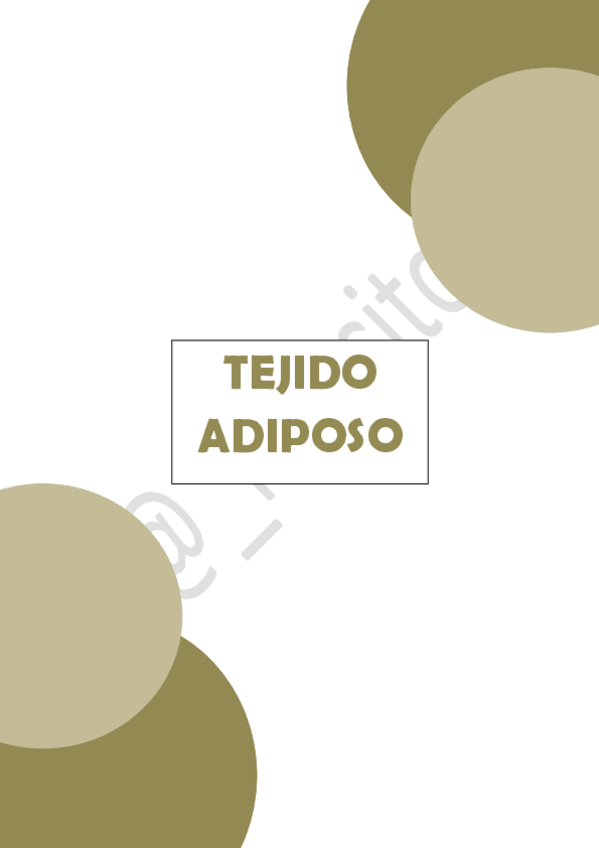 Miniatura del documento TEJIDO-ADIPOSO.pdf