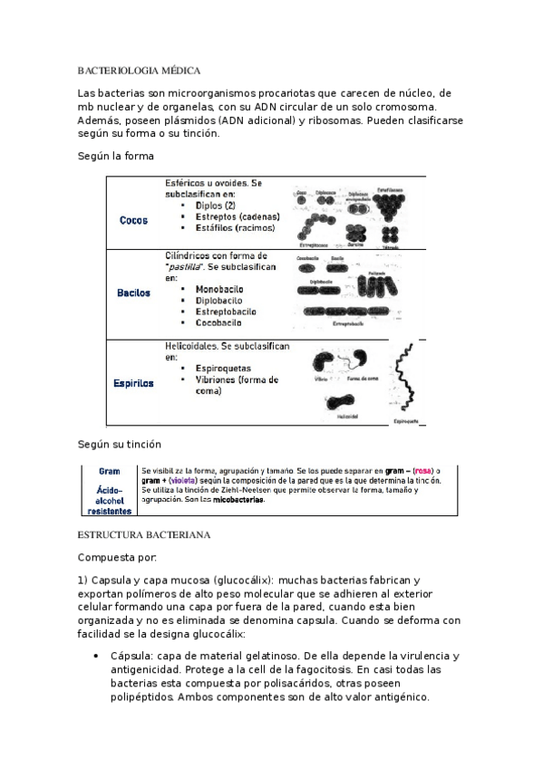 Miniatura del documento BACTERIOLOGIA-MEDICA.docx