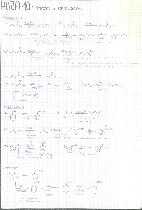 Miniatura del documento Hoja-acidos-carboxilicos.pdf