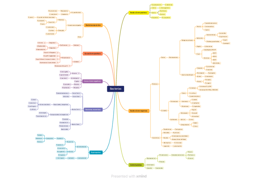 Miniatura del documento Bacterias-mapa-mental.pdf