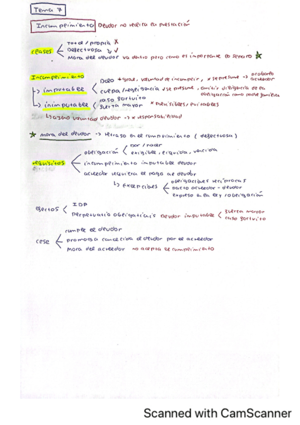 Miniatura del documento ESQUEMA-COMPLETO-TEMA-7.pdf