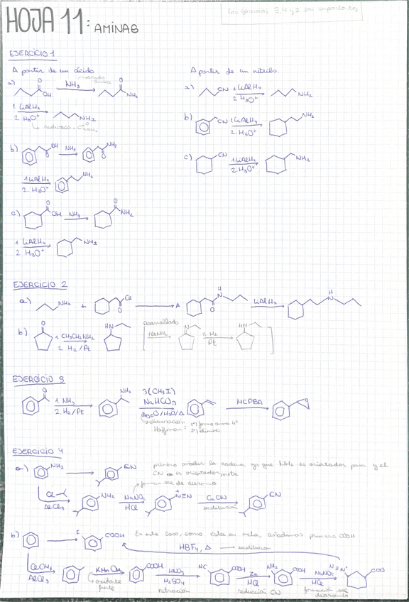 Miniatura del documento Hoja-aminas.pdf