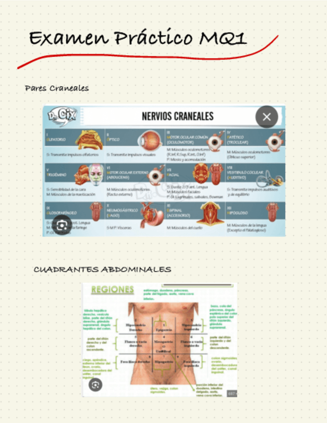 Miniatura del documento Apuntes-examen-practico.pdf