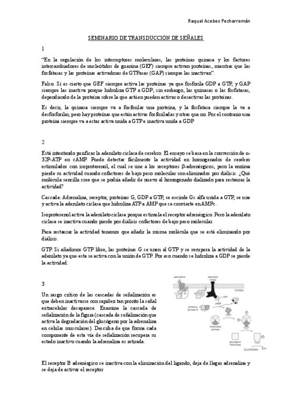 Miniatura del documento seminarios-transduccion-de-senales.pdf