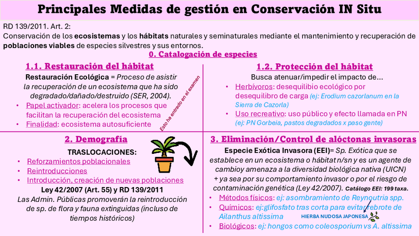 Miniatura del documento 2do-parcial-planes.pdf