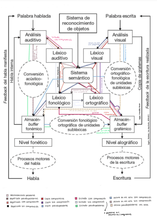 Miniatura del documento Esquema-neuro-cognitiva.pdf