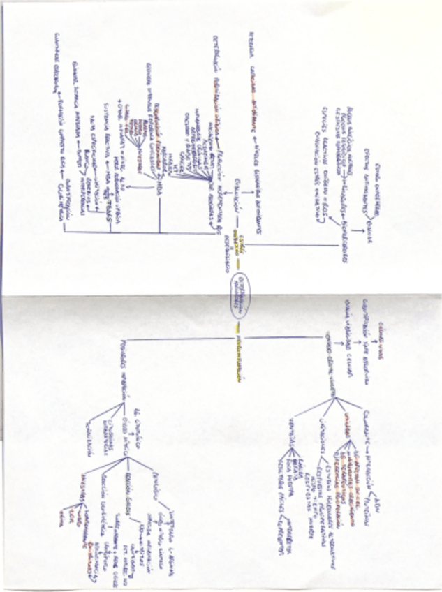 Miniatura del documento ESTRES-OXIDATIVO-Y-NEUROINFLAMACION.pdf