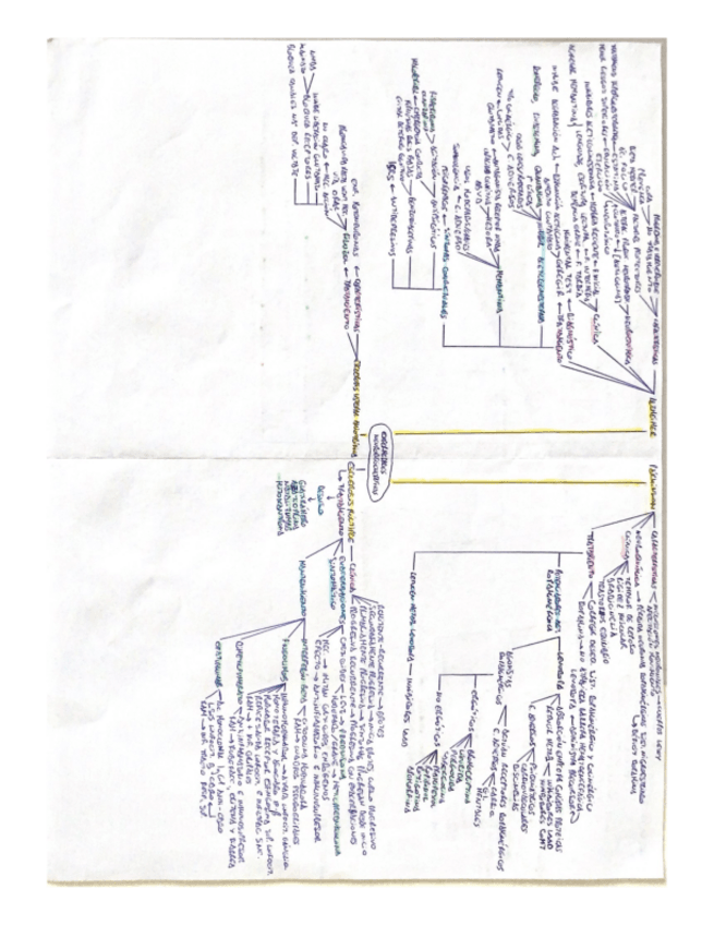 Miniatura del documento ENF.-NEURODEGENERATIVAS.pdf