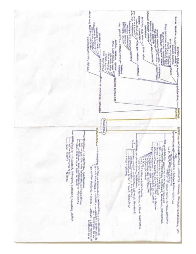 Miniatura del documento PSICOFARMACOS.pdf
