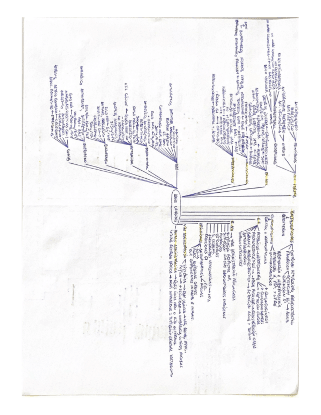 Miniatura del documento AINES-Y-CORTICOIDES.pdf