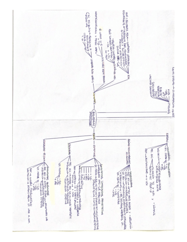 Miniatura del documento DISLIPEMIAS.pdf